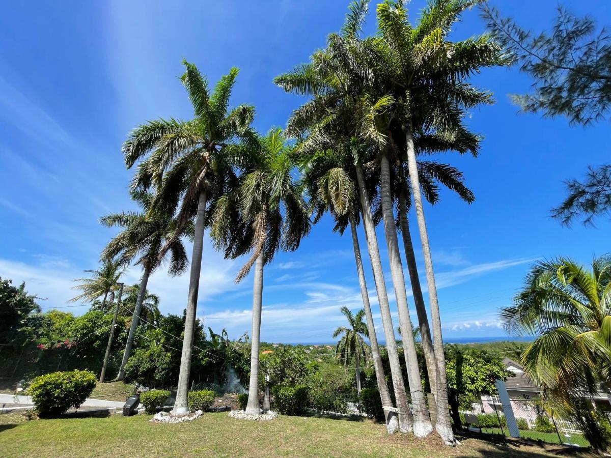 The Lodge @ Peaceful Palms Montego Bay Exterior foto