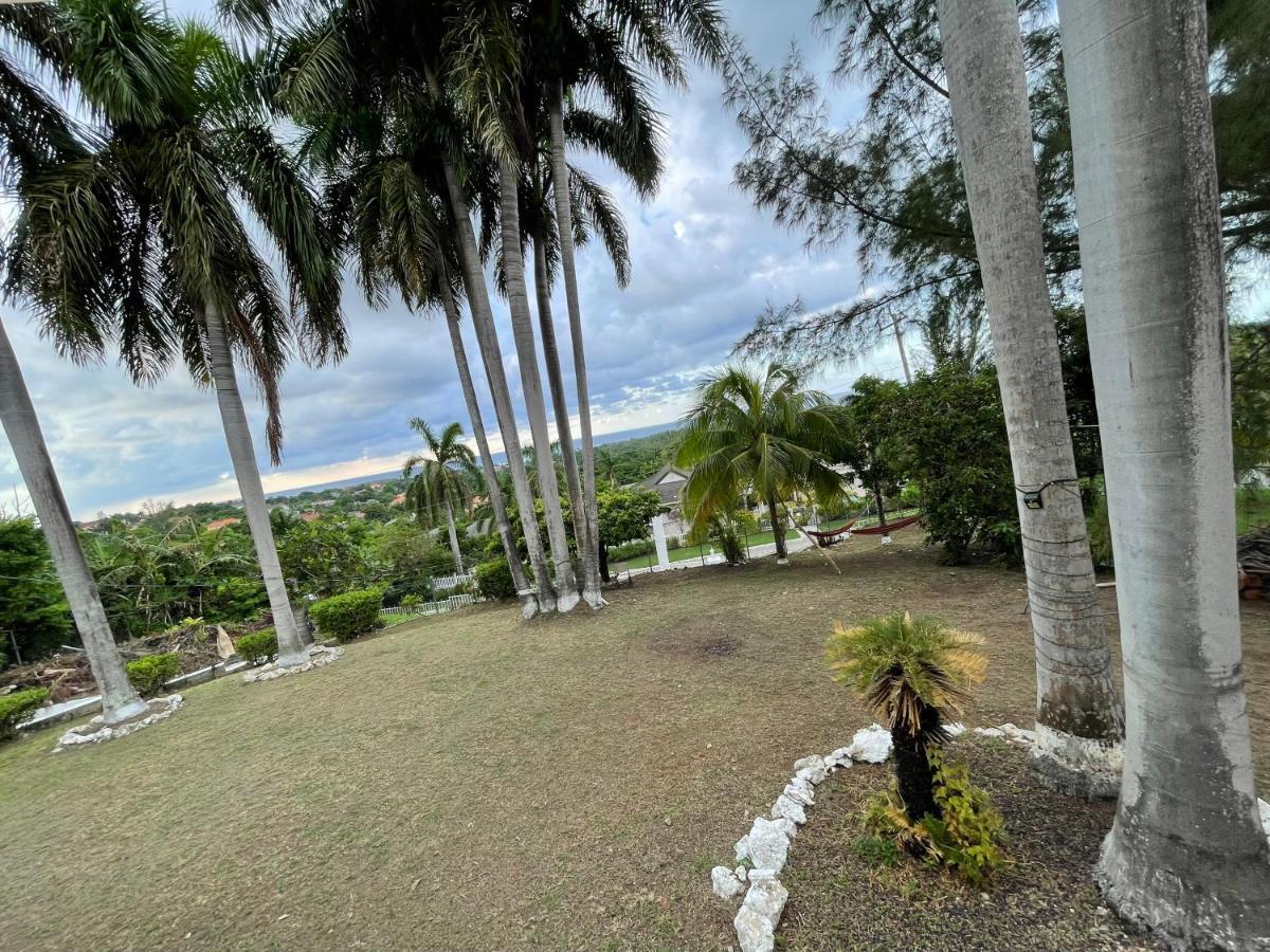 The Lodge @ Peaceful Palms Montego Bay Exterior foto